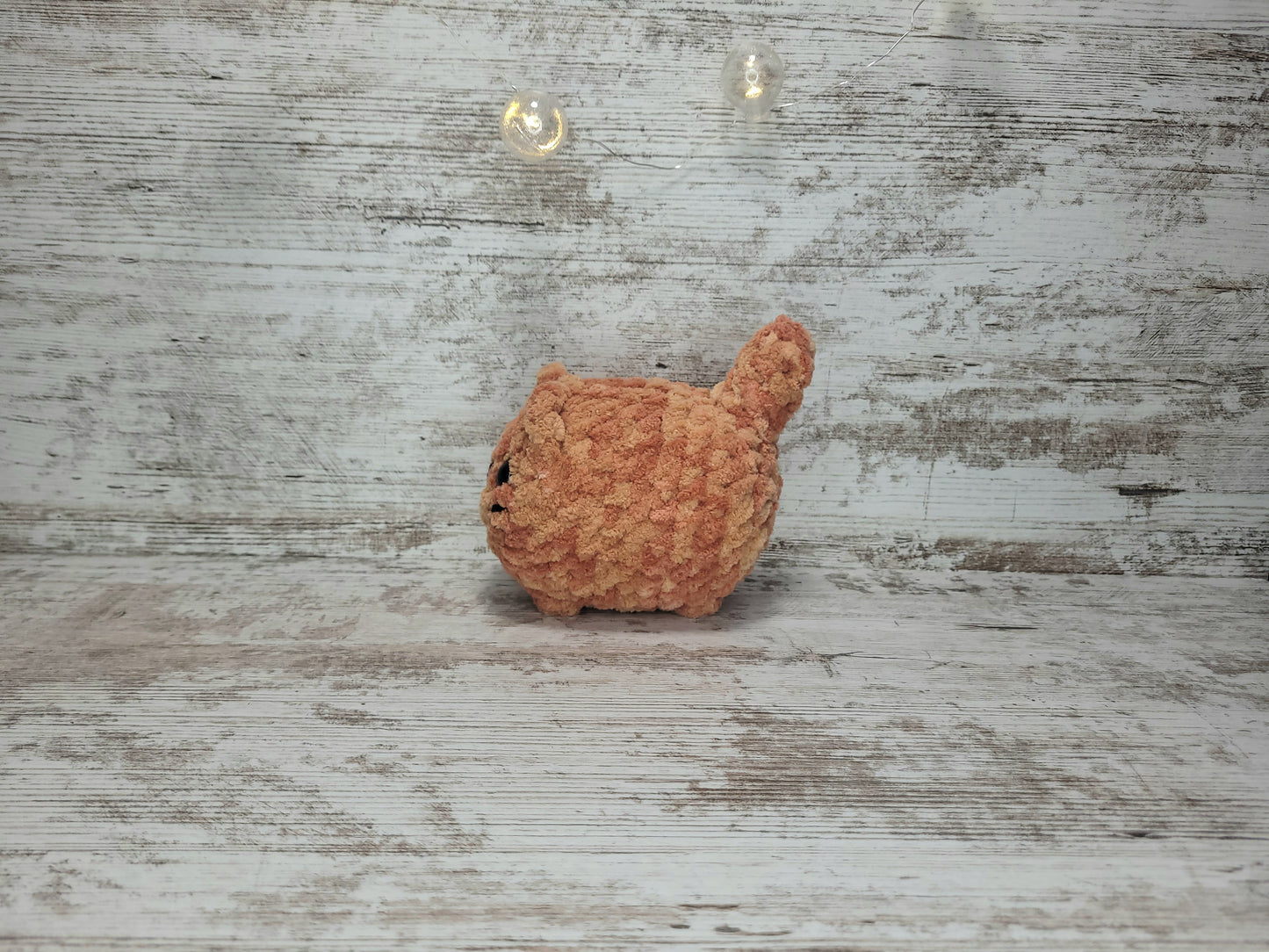 Loaf Kitten - Canyon