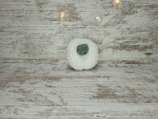Pumpkin - White w/ Green Stem
