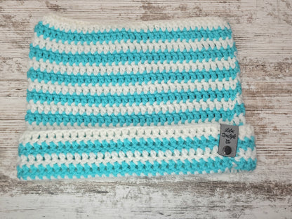 Cat Ear Beanie - White/Teal