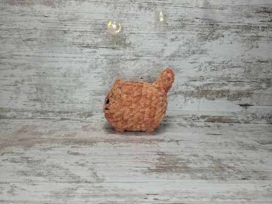 Loaf Kitten - Canyon