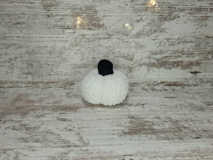 Pumpkin - White w/ Black Stem